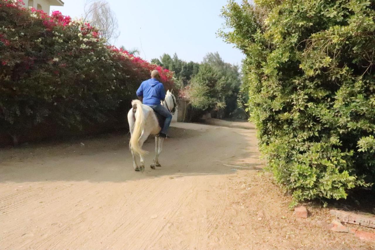 The Farm - Hotel & Horse Riding ไคโร ภายนอก รูปภาพ